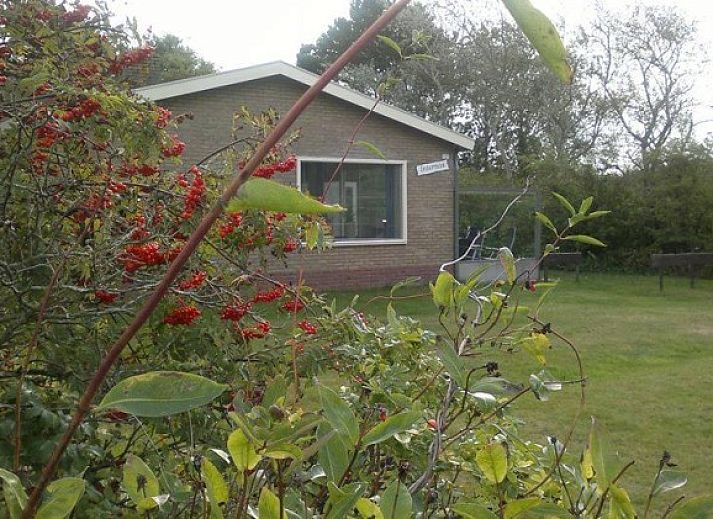 Zeevonk Bungalow in Ballum, Ameland mit weitlaeufigen Rasenflaechen und der umliegenden Natur.