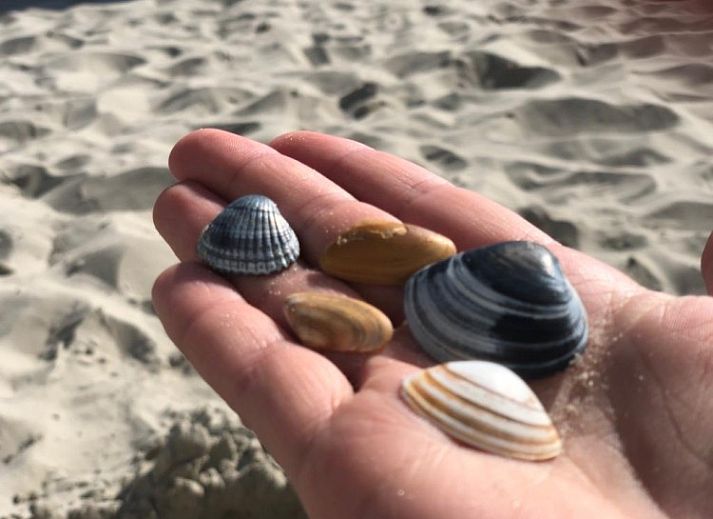 Esti bungalow in Ballum, Ameland omgeven door groene natuur op de Waddeneilanden.