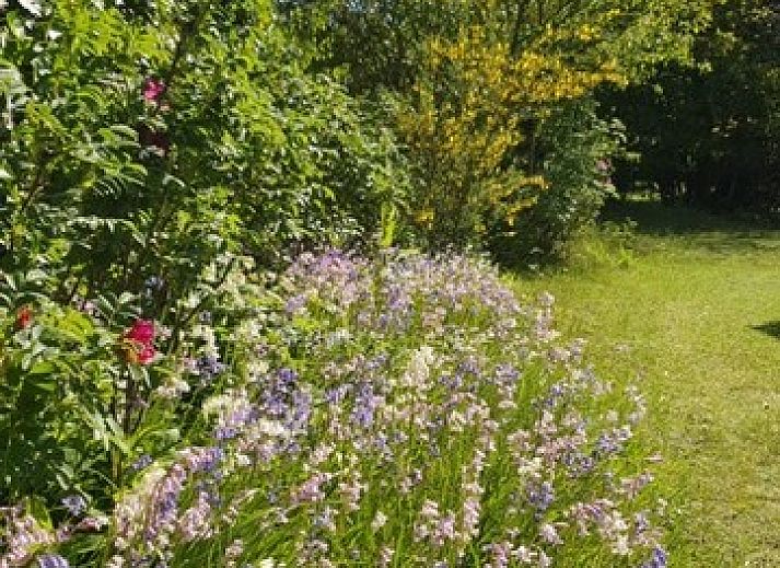Ruime eet- en zitruimte in Esti bungalow, Ballum, Ameland met veel natuurlijk licht.
