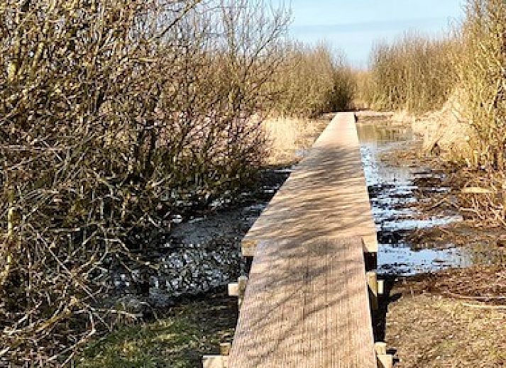Ruime eet- en zitruimte in Esti bungalow, Ballum, Ameland met veel natuurlijk licht.