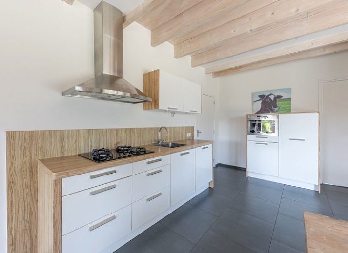 Guest house 0401164 - Apartment Ameland - Skip Lodge
