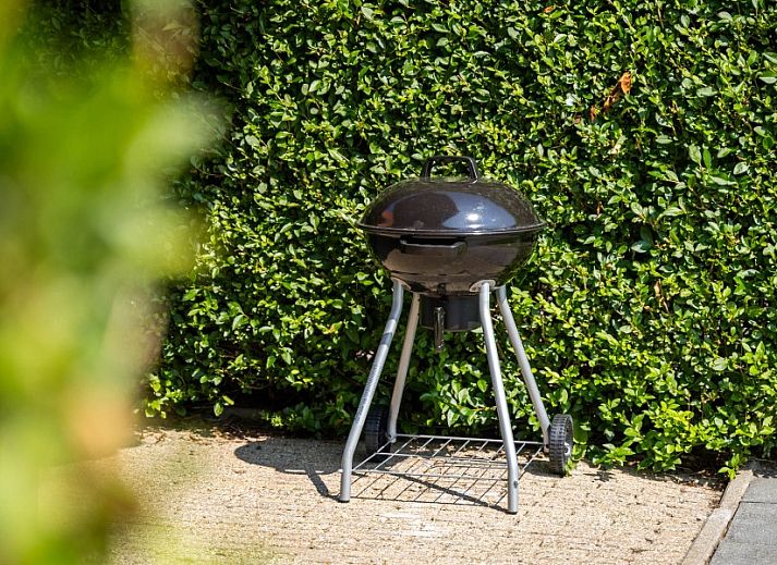 Stylish corner with fireplace and television in Tree Lodge, Ballum, Ameland.