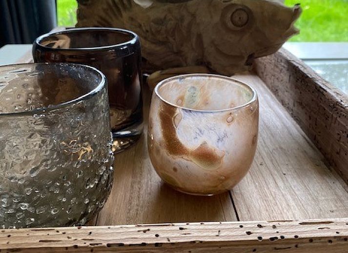 Unterkunft 0401167 - Ferienhaus Ameland - Lodge 't Pandje