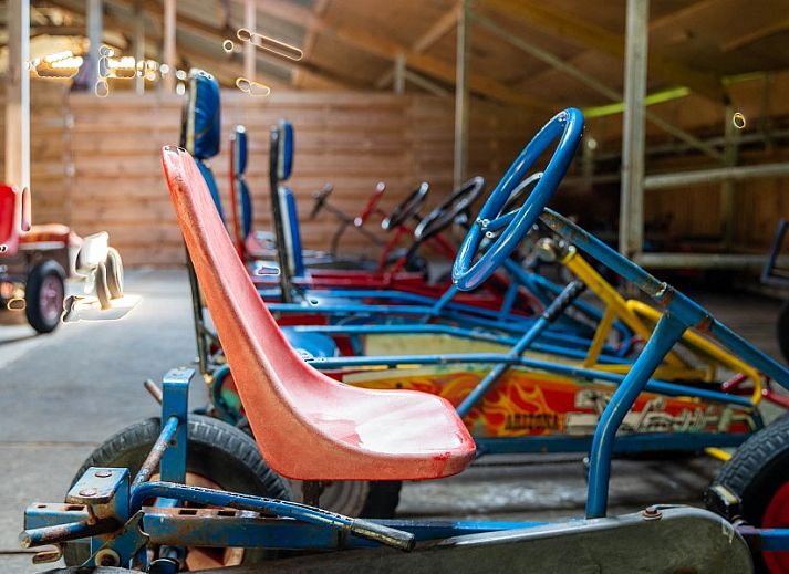 Unterkunft 0401167 - Ferienhaus Ameland - Lodge 't Pandje