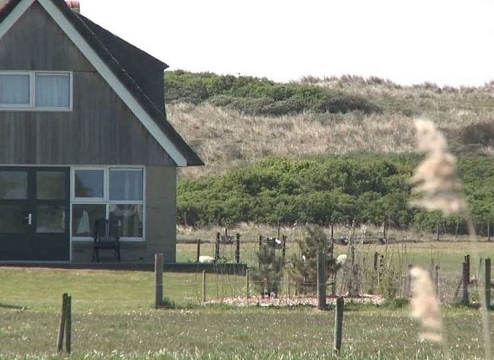 Unterkunft 040121 - Ferienhaus Ameland - 215247