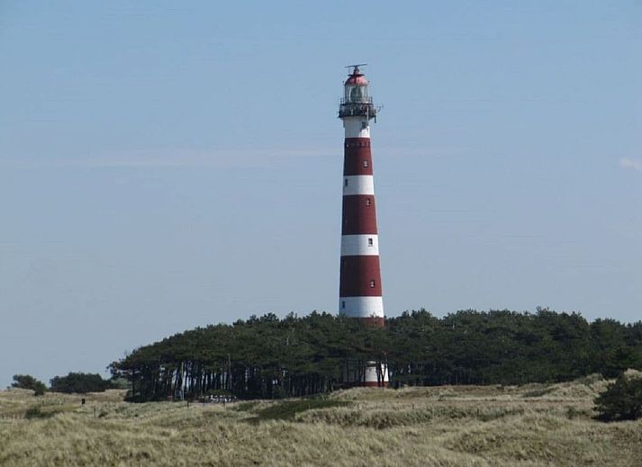 Unterkunft 040121 - Ferienhaus Ameland - 215247