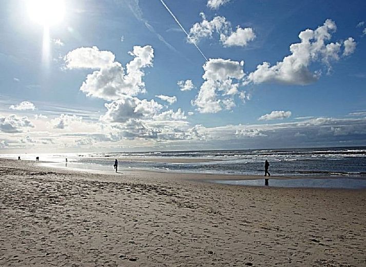 Unterkunft 040121 - Ferienhaus Ameland - 215247