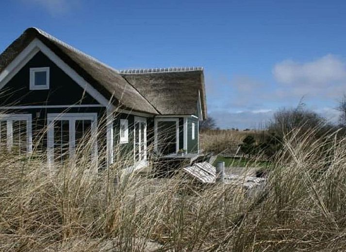 Unterkunft 040123 - Ferienhaus Ameland - 191791