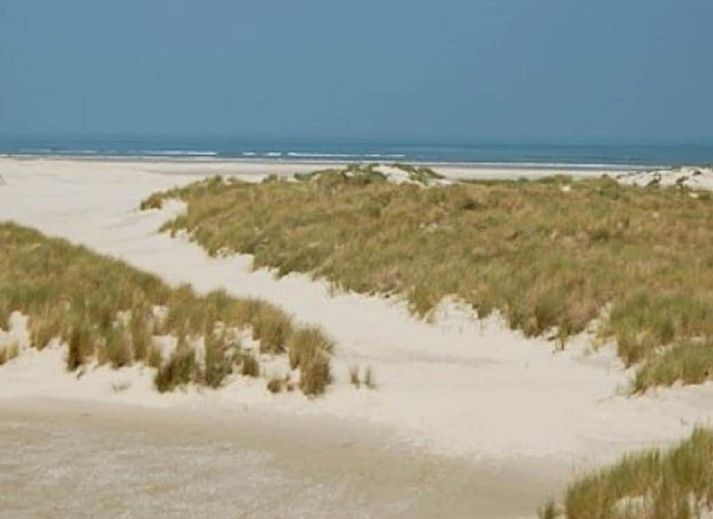 Unterkunft 040123 - Ferienhaus Ameland - 191791