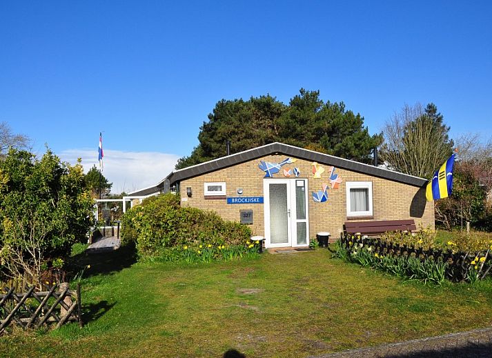 Brockjiske Bungalow in Ballum, Ameland, mit bunten Fahnen und Fruehlingsblumen.
