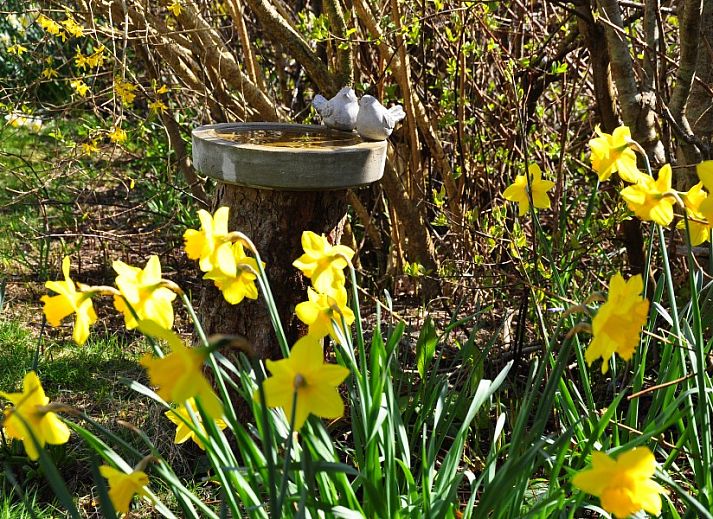 Sonnige Sitzecke im Brockjiske Bungalow auf Ameland, ideal zum Entspannen.