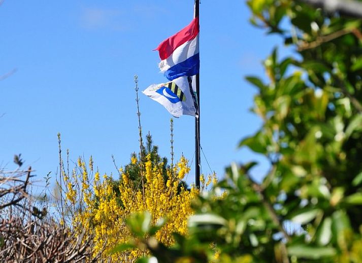 Terrasse des Ferienhauses Brockjiske in Ballum, umgeben von ueppiger Natur.