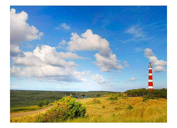 Unterkunft 040130 - Ferienhaus Ameland - 293562