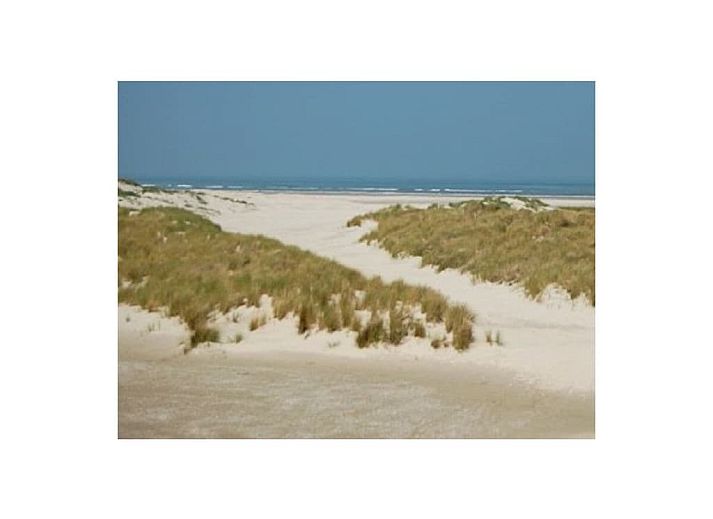 Unterkunft 040130 - Ferienhaus Ameland - 293562