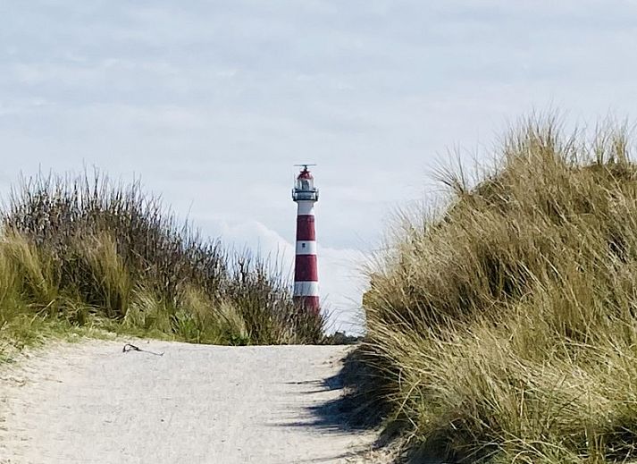 Guest house 040147 - Chalet Ameland - Kia Ora