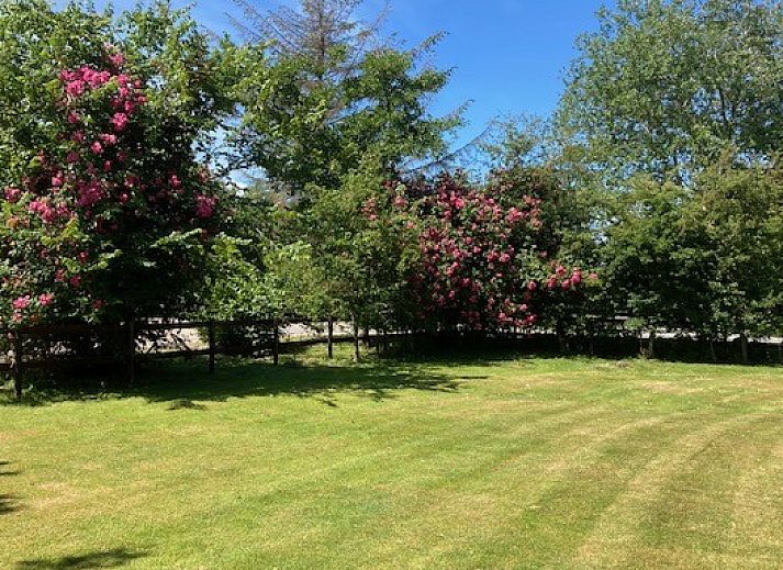 Akkerduin vakantiehuis met rieten dak in Ballum, Ameland, omgeven door groene tuin.