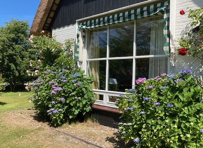 Akkerduin vakantiehuis met rieten dak in Ballum, Ameland, omgeven door groene tuin.