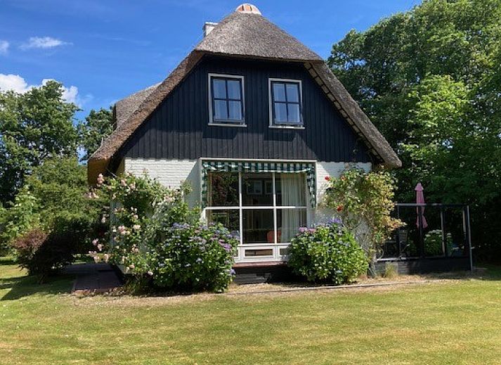 Bloeiende hortensia's bij raam van Akkerduin vakantiehuis in Ballum, Ameland.