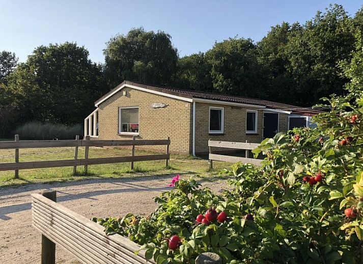 Unterkunft 040171 - Bungalow Ameland - Helma