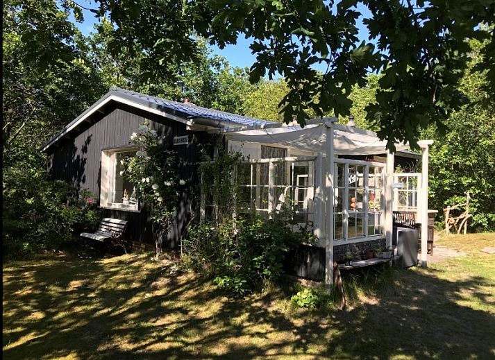 Verblijf 040179 • Bungalow Ameland • Alba Rose
