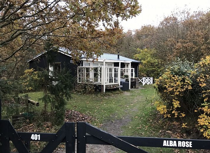 Unterkunft 040179 - Bungalow Ameland - Alba Rose