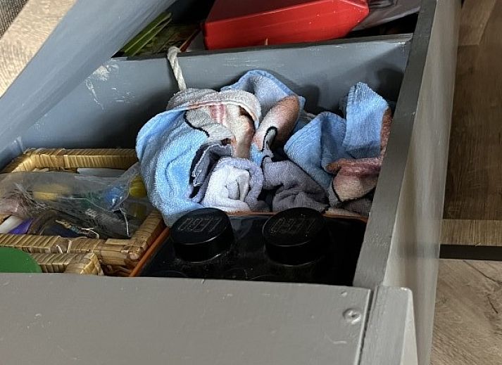 Unterkunft 040179 - Bungalow Ameland - Alba Rose