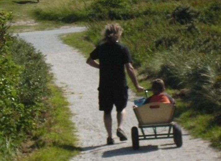 Unterkunft 040179 - Bungalow Ameland - Alba Rose