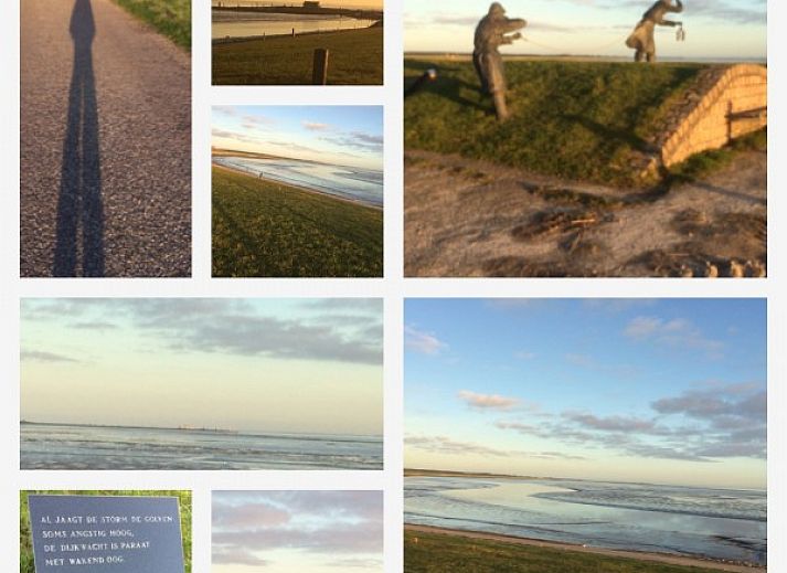 Unterkunft 040179 - Bungalow Ameland - Alba Rose