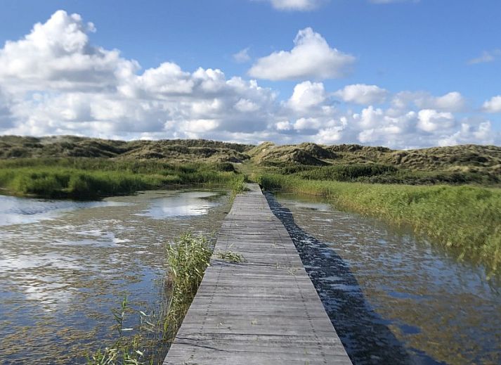 Unterkunft 0402102 - Ferienhaus Ameland - Noorderzon