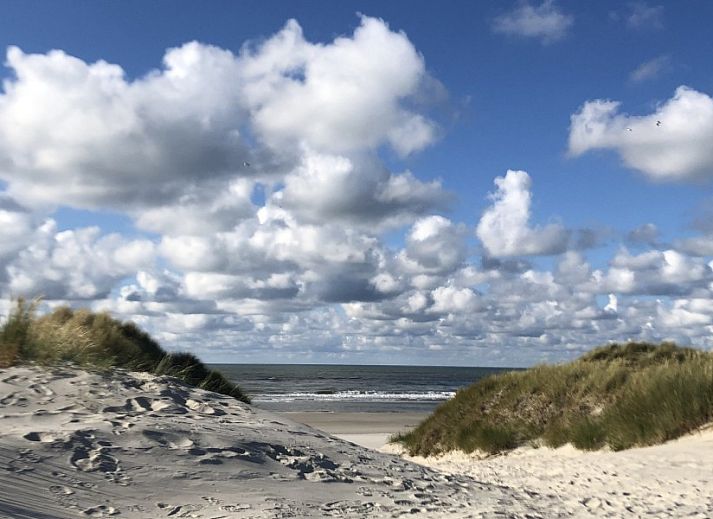 Unterkunft 0402102 - Ferienhaus Ameland - Noorderzon