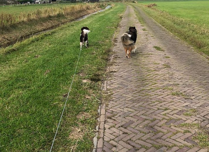 Modern kitchen in Holiday home in Buren Ameland, fully equipped.