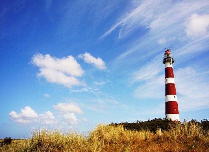 WA003 vacation home in Buren, Ameland with traditional architecture and green surroundings.