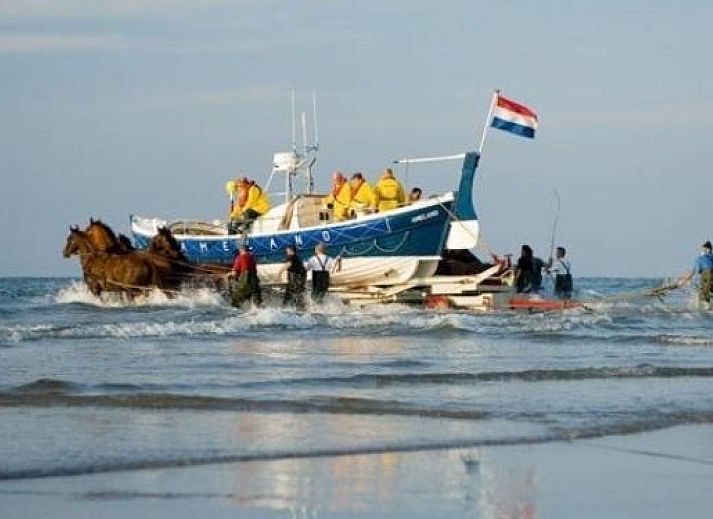 Iconic lighthouse near vacation home WA003 in Buren, Ameland, surrounded by dunes.