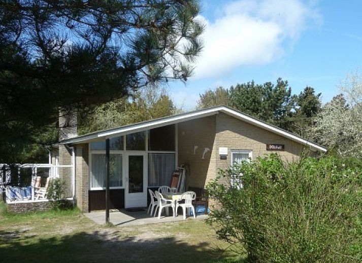 Unterkunft 040244 - Bungalow Ameland - Dolfijn