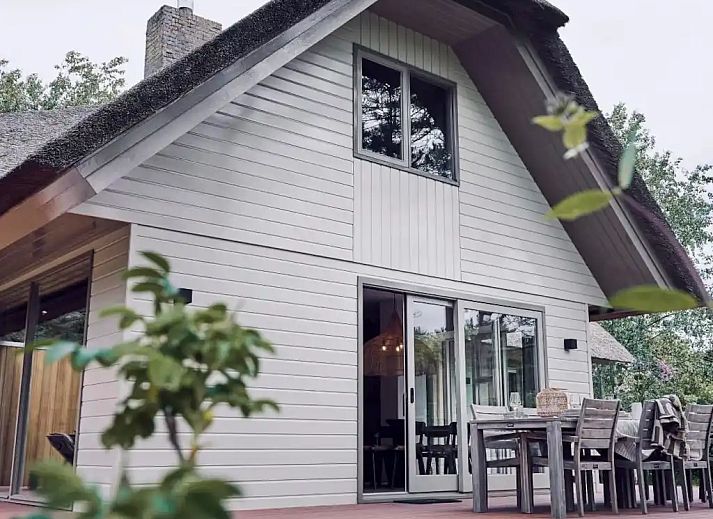 Guest house 040248 - Holiday property Ameland - Blommert