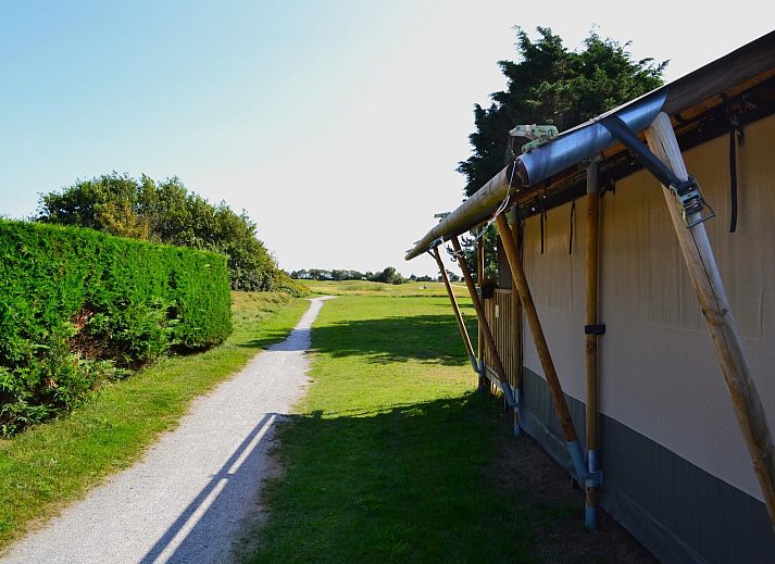 Unterkunft 0403125 - Ferienhaus Ameland - Luxe safaritent op Ameland