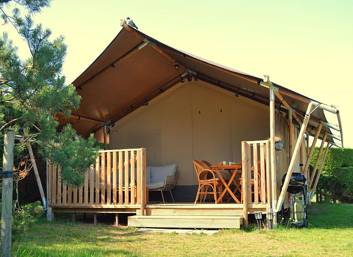 Unterkunft 0403125 - Ferienhaus Ameland - Luxe safaritent op Ameland
