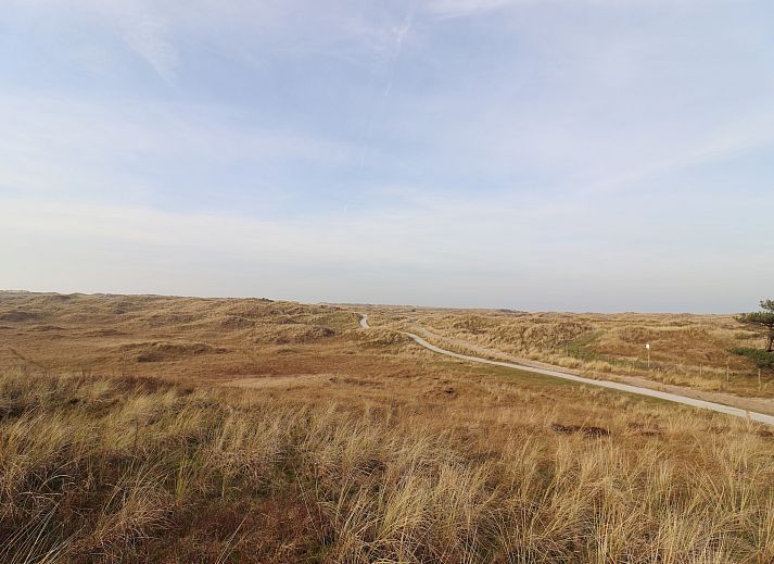 Unterkunft 0403125 - Ferienhaus Ameland - Luxe safaritent op Ameland