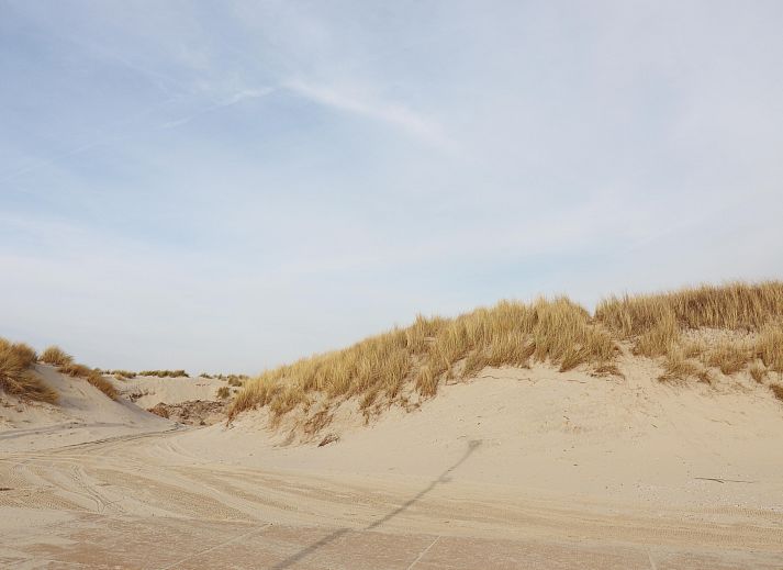 Unterkunft 0403125 - Ferienhaus Ameland - Luxe safaritent op Ameland