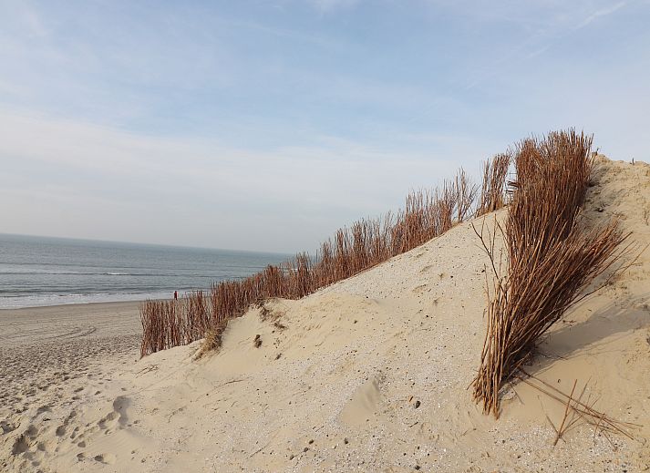 Unterkunft 0403125 - Ferienhaus Ameland - Luxe safaritent op Ameland