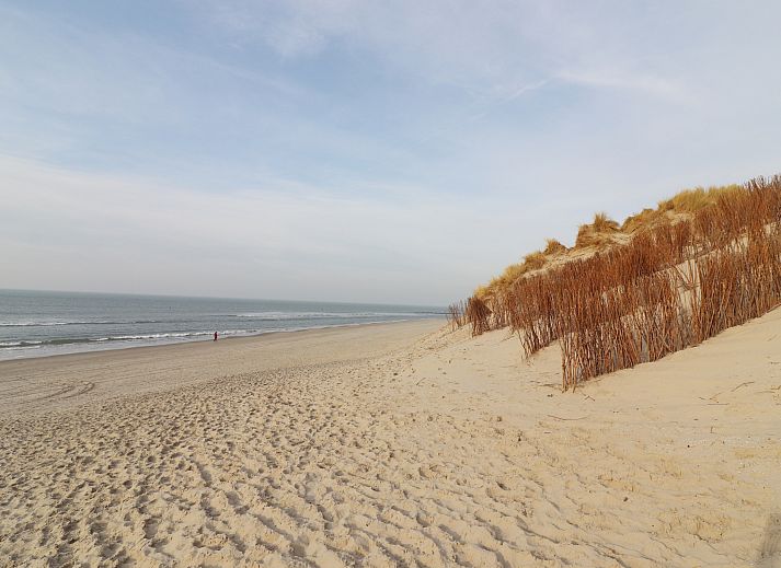 Unterkunft 0403125 - Ferienhaus Ameland - Luxe safaritent op Ameland