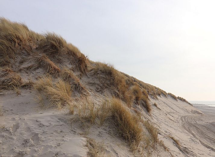 Unterkunft 0403125 - Ferienhaus Ameland - Luxe safaritent op Ameland