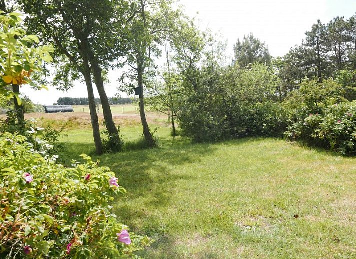 Cozy living room in Het Woonhuis, vacation home in Hollum, Ameland with comfortable sofas and lots of light.