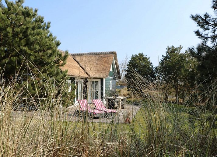 Strandjutter26 vakantiehuis in Hollum, Ameland met rieten dak en ruim terras.