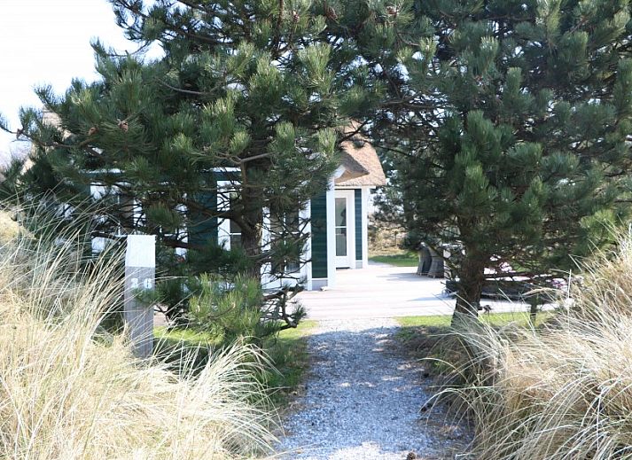 Natuurlijke omgeving van Strandjutter26 vakantiehuis in Hollum, Ameland.