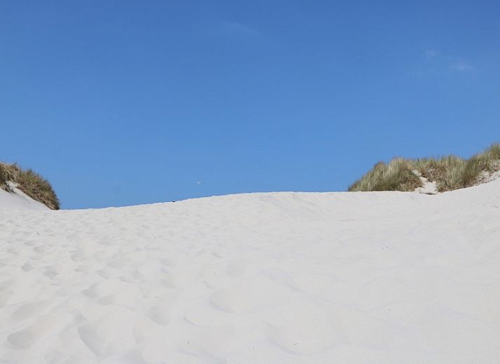 Natuurlijke omgeving van Strandjutter26 vakantiehuis in Hollum, Ameland.