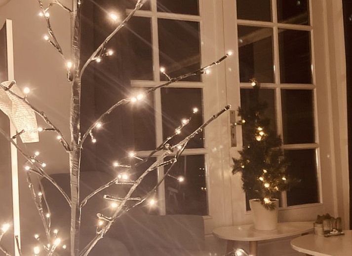 Guest house 040318 - Holiday property Ameland - 't Roefke