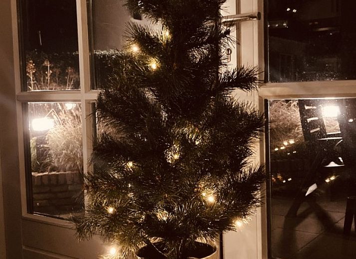 Guest house 040318 - Holiday property Ameland - 't Roefke