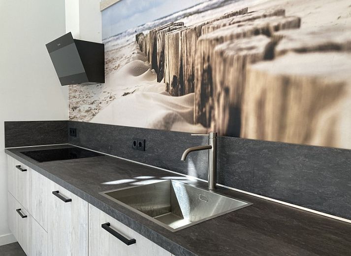 Guest house 040318 - Holiday property Ameland - 't Roefke