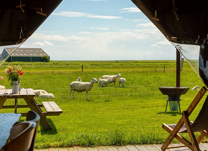 Guest house 040321 • Holiday property Ameland • Strandchalet 4 Miva 